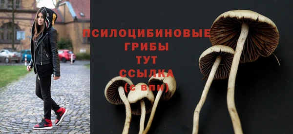 дмт Нязепетровск