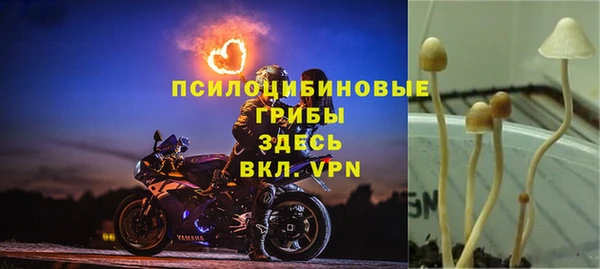 spice Осинники