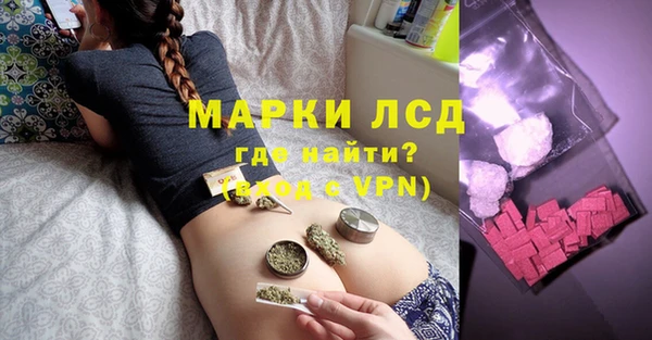 spice Осинники