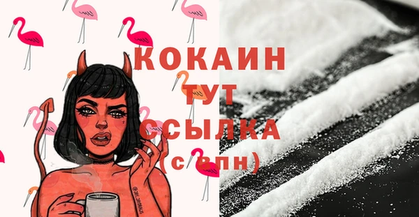 МДПВ Остров