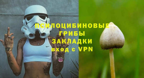 МДПВ Остров