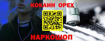 гашик Гусев