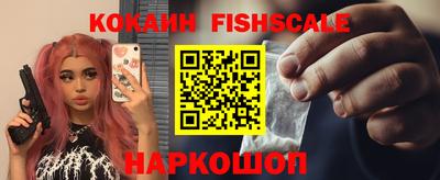 гашик Гусев
