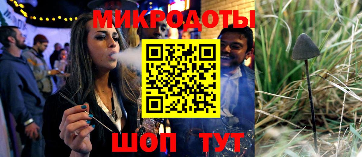 Псилоцибиновые грибы прущие грибы Кириши