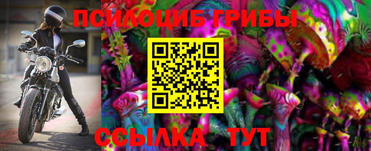 Псилоцибиновые грибы Cubensis  Вход с VPN  Кириши 