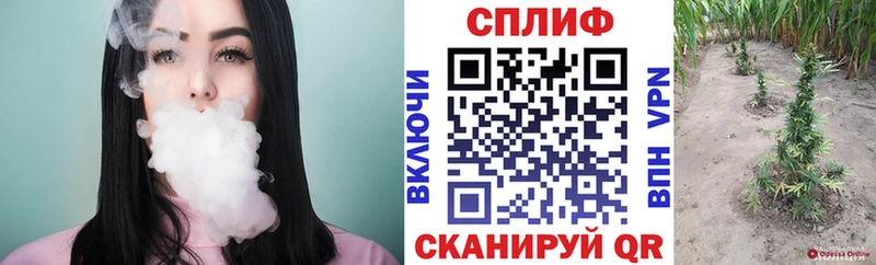 Конопля гибрид  Кириши 